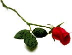 clipart-rose04.gif